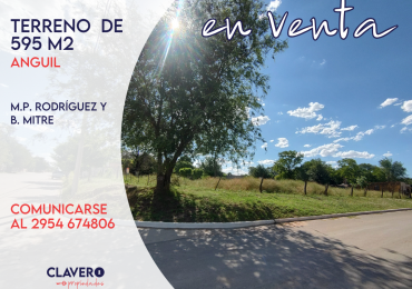 TERRENO EN ANGUIL